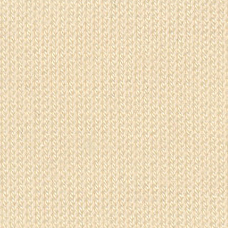 Solid Stretch Tencel™ / Lyocell Jersey A007422 - Yardblox Fabrics