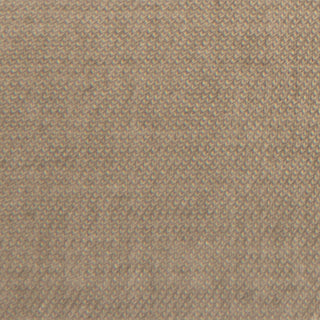 Solid Lyocell Twill A102334