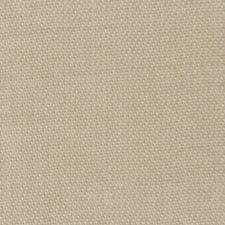 Solid Lyocell Twill A102334