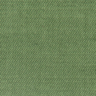 Solid Lyocell Twill A102334