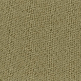 Solid Stretch Liquid Ammonia Mercerized Supima® Cotton Double Knit A106413