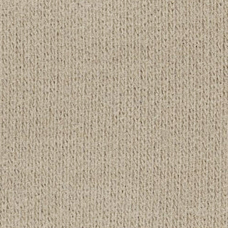 Solid Stretch Double Peached Miyabi™ / Acrylic Tencel™ / Lyocell Jersey A107433 - Yardblox Fabrics