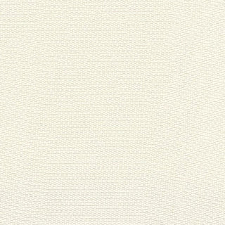 Solid Cupro Viscose Plain Woven A119301 - Yardblox Fabrics