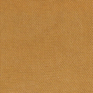 Solid Cupro Viscose Plain Woven A119301