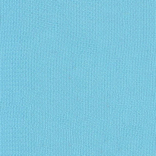 Solid Cupro Plain Woven A119306 - Yardblox Fabrics