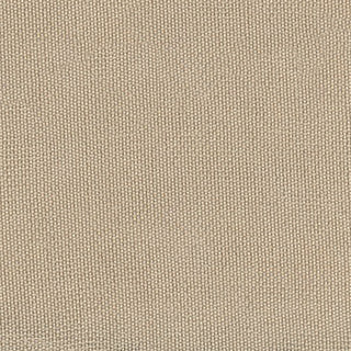 Solid Cupro Plain Woven A119306