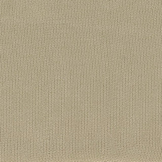 Solid Cupro Plain Woven A119306 - Yardblox Fabrics