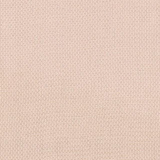 Solid Cupro Plain Woven A119306