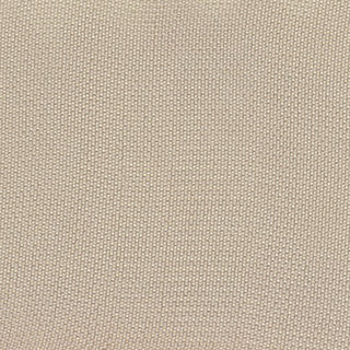 Solid Cupro Plain Woven A119306