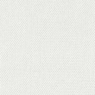 Solid Cupro Plain Woven A119306 - Yardblox Fabrics