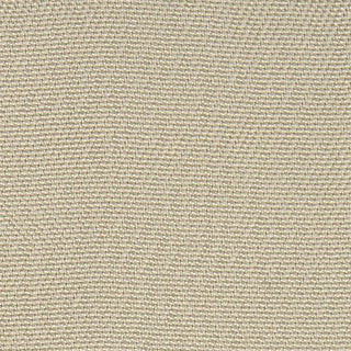 Solid Stretch Cupro Viscose Plain Woven A119309