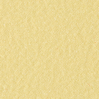 Solid Stretch Nylon Performance Woven B003302 - Yardblox Fabrics