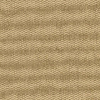 Solid Stretch Crinkled Nylon Performance Woven B003404 - Yardblox Fabrics