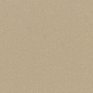 Solid Stretch Crinkled Nylon Performance Woven B003404 - Yardblox Fabrics