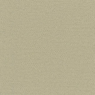 Solid Stretch Crinkled Nylon Performance Woven B003404 - Yardblox Fabrics