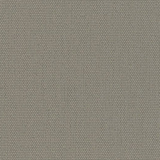 Solid Stretch Crinkled Nylon Performance Woven B003404 - Yardblox Fabrics