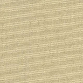 Solid Stretch Crinkled Nylon Performance Woven B003404 - Yardblox Fabrics