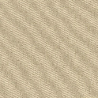 Solid Stretch Crinkled Nylon Performance Woven B003404 - Yardblox Fabrics