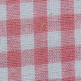 Gingham Cotton Plain Woven B010461 - Yardblox Fabrics