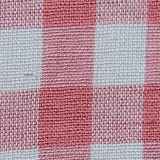 Gingham Cotton Plain Woven B010461 - Yardblox Fabrics