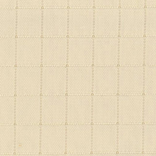 Solid Crinkled Nylon Ripstop B020403 - Yardblox Fabrics