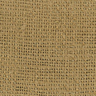 Solid Linen Plain Woven B020409