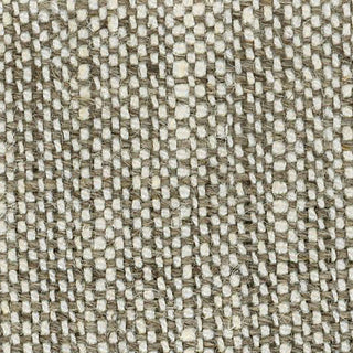 Solid Linen Plain Woven B020409