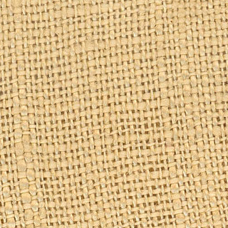 Solid Linen Plain Woven B020409