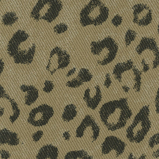 Animal Cotton Twill B022405 - Yardblox Fabrics