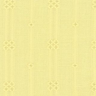 Solid Cotton Jacquard B024505