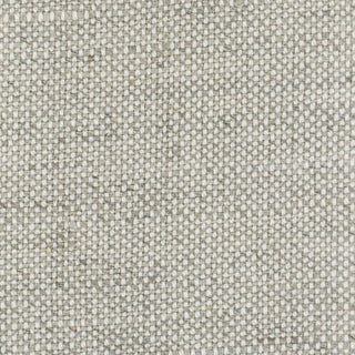 Solid Linen Viscose Plain Woven S019401