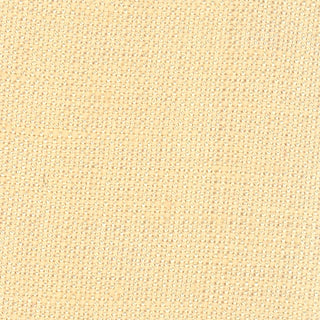 Solid Linen Viscose Plain Woven S020406