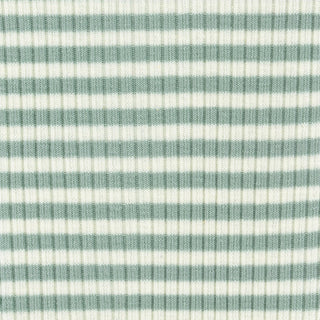 Stripes Stretch Cotton Rib 3x4 S025401