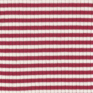 Stripes Stretch Cotton Rib 3x4 S025401