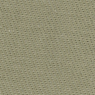 Solid Sand Wash Lyocell Cotton Twill S029402